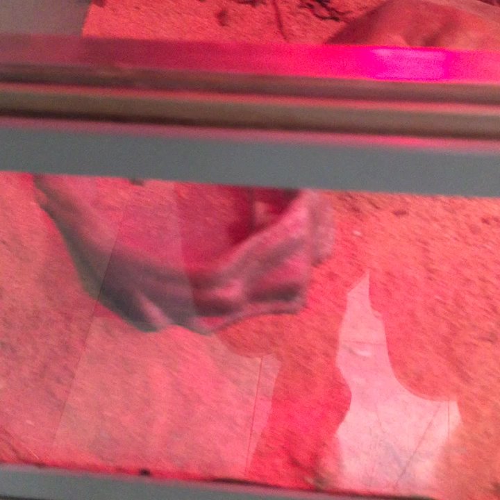 Pets Plus Natural - More animals without water or almost none. Horrible - Pet Stores Near Me - Delran, New Jersey