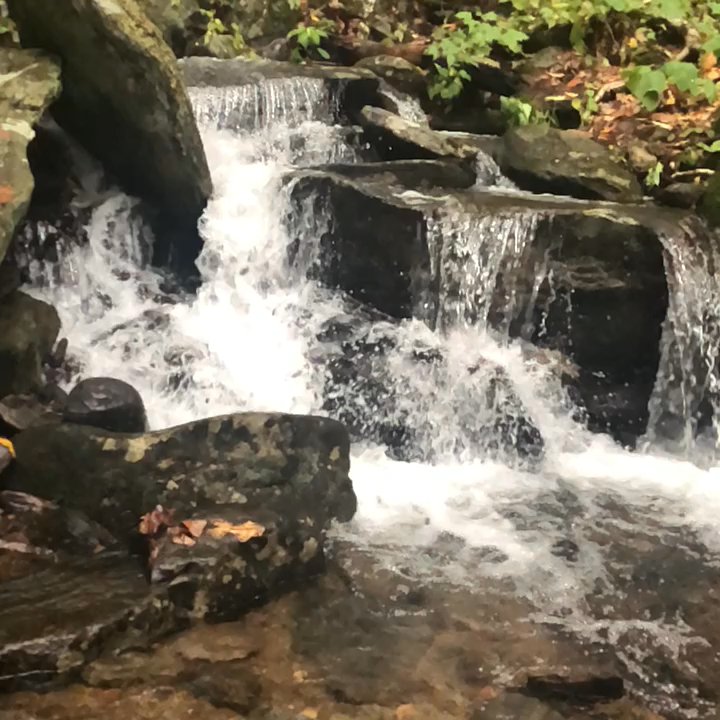 Greybeard Trailhead - Hiking Near Me - Montreat, North Carolina