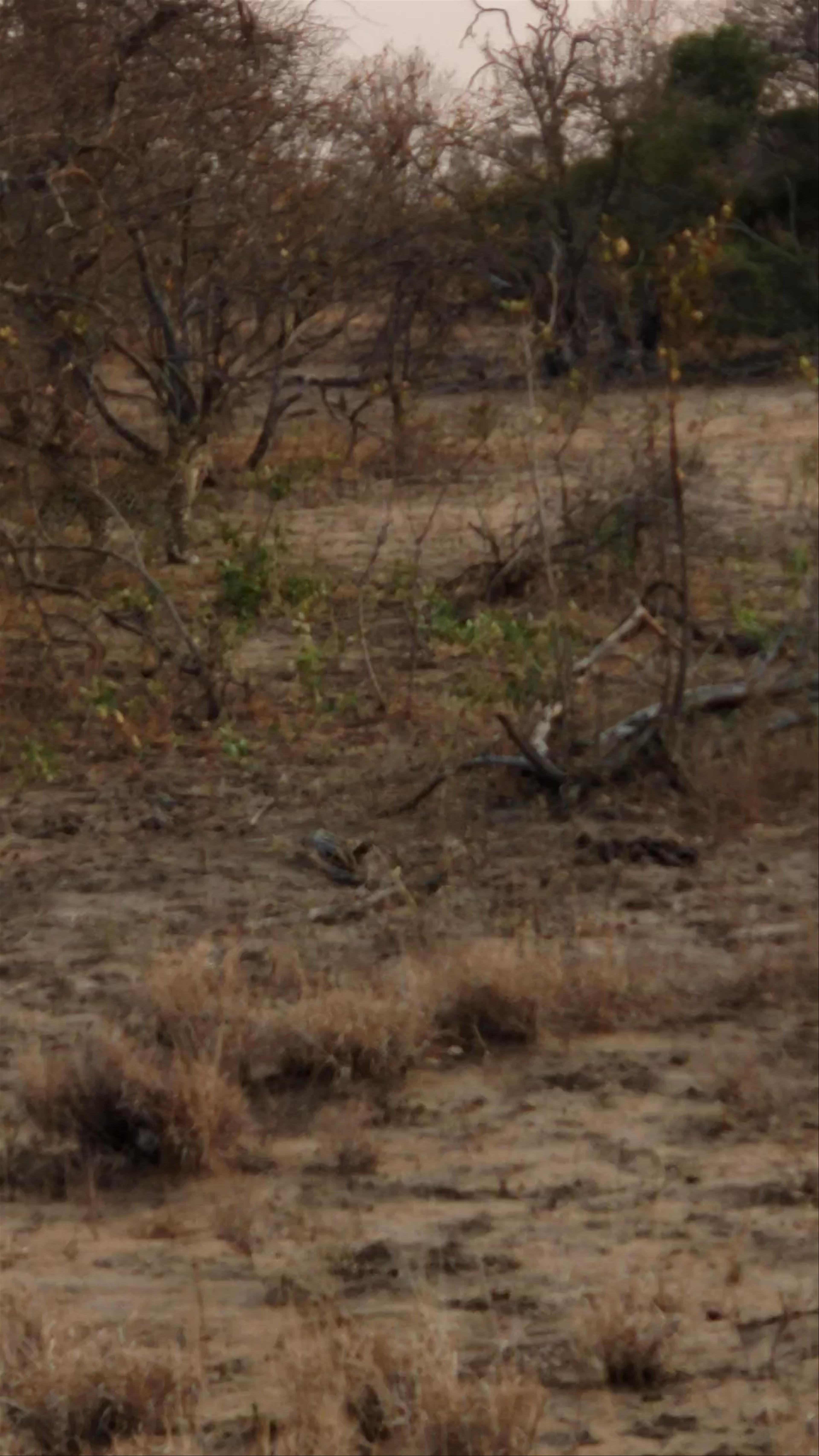 The Klaserie Private Nature Reserve