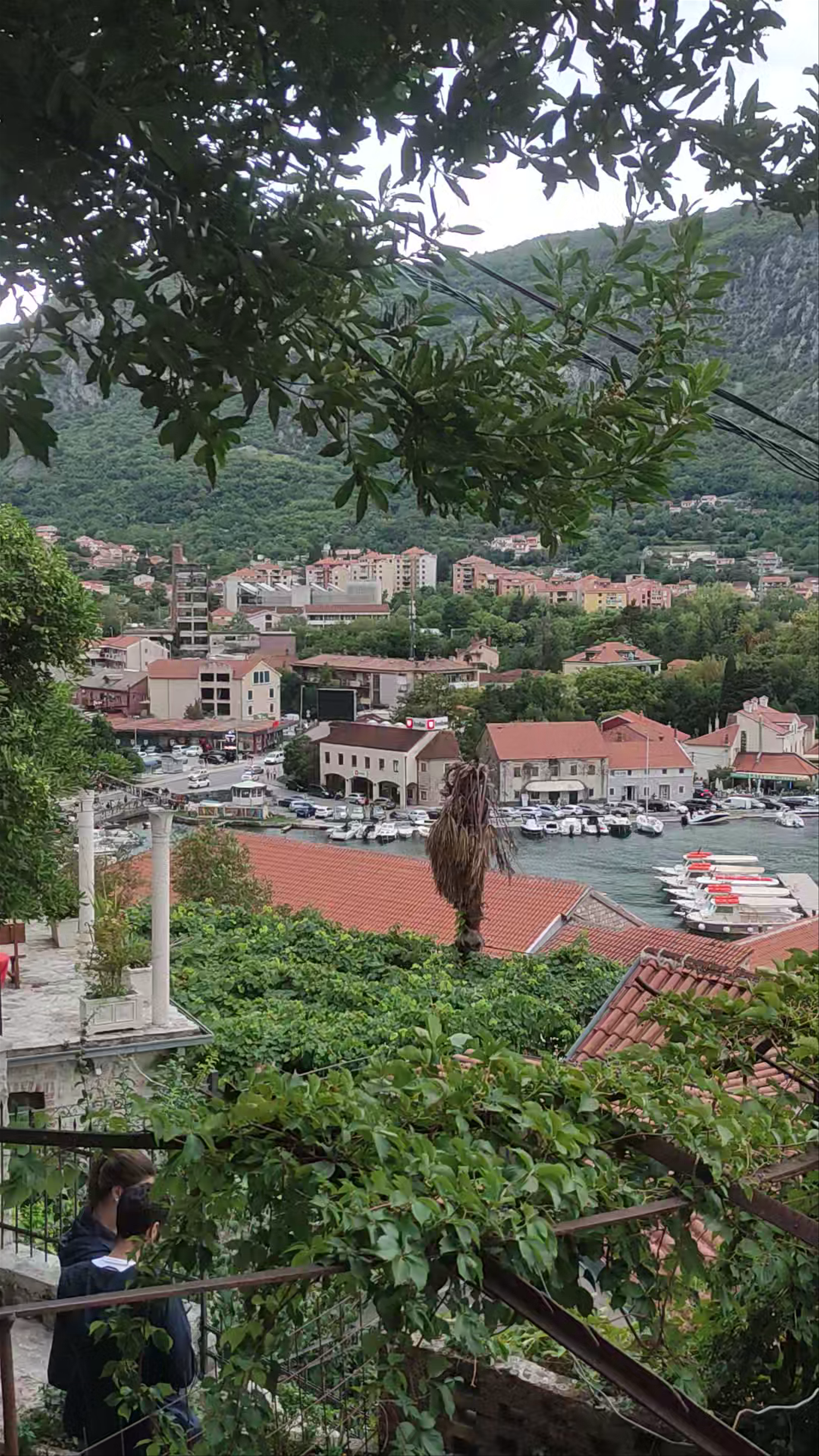 Port de Kotor