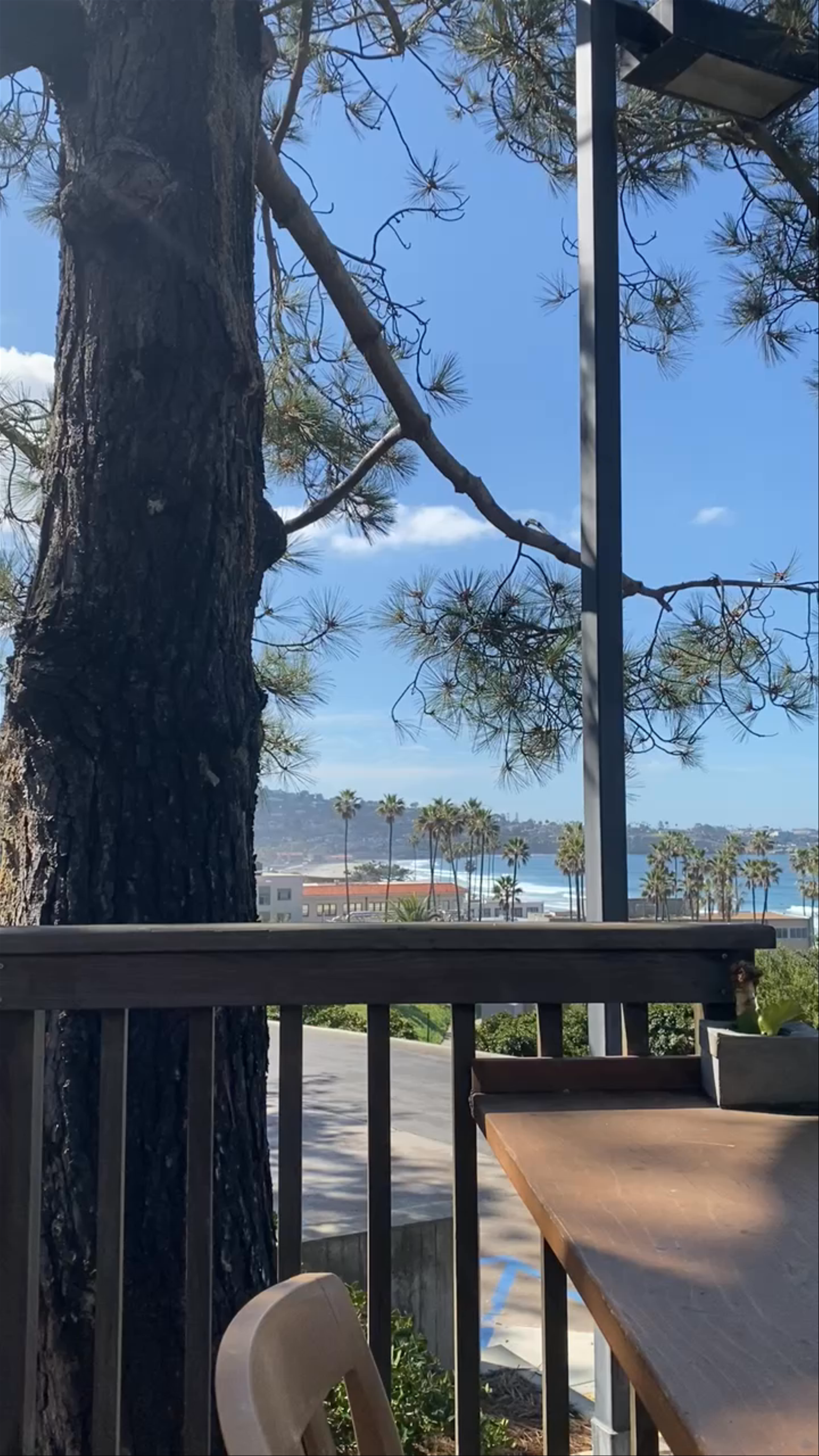 Sun-Kissed Views from Pinpoint Cafe in La Jolla, California