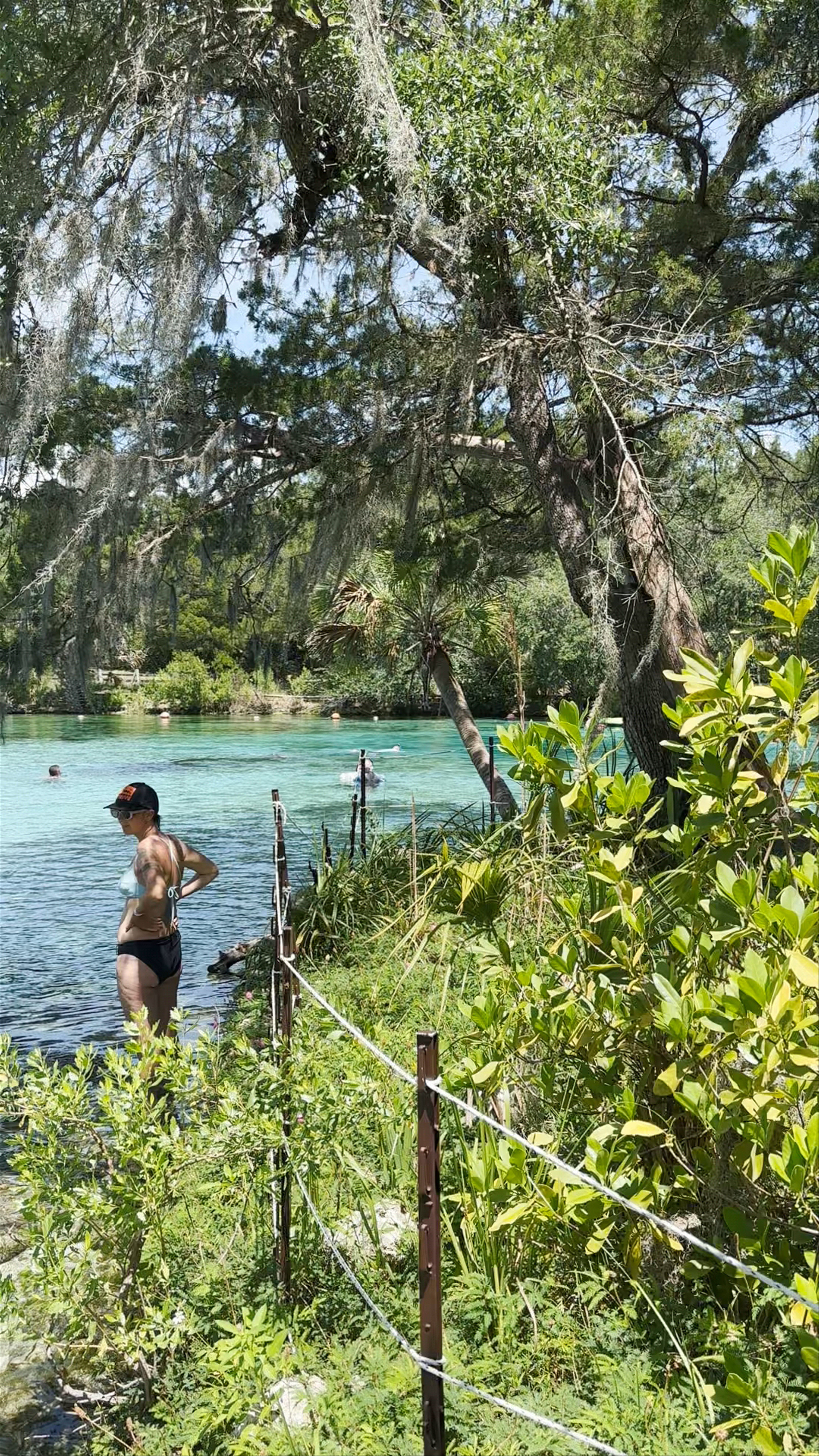 Weeki Wachee Spring: Crystal Clear Waters and Lush Florida Wilderness