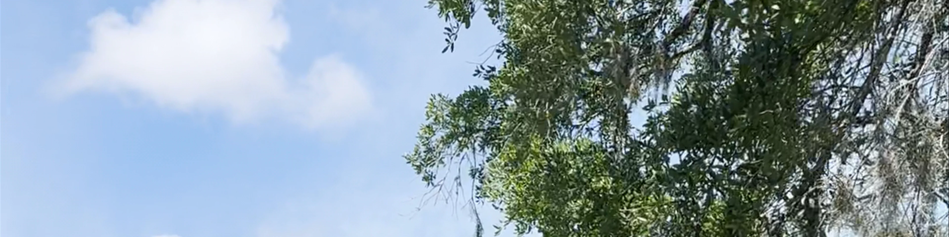 Weeki Wachee Spring