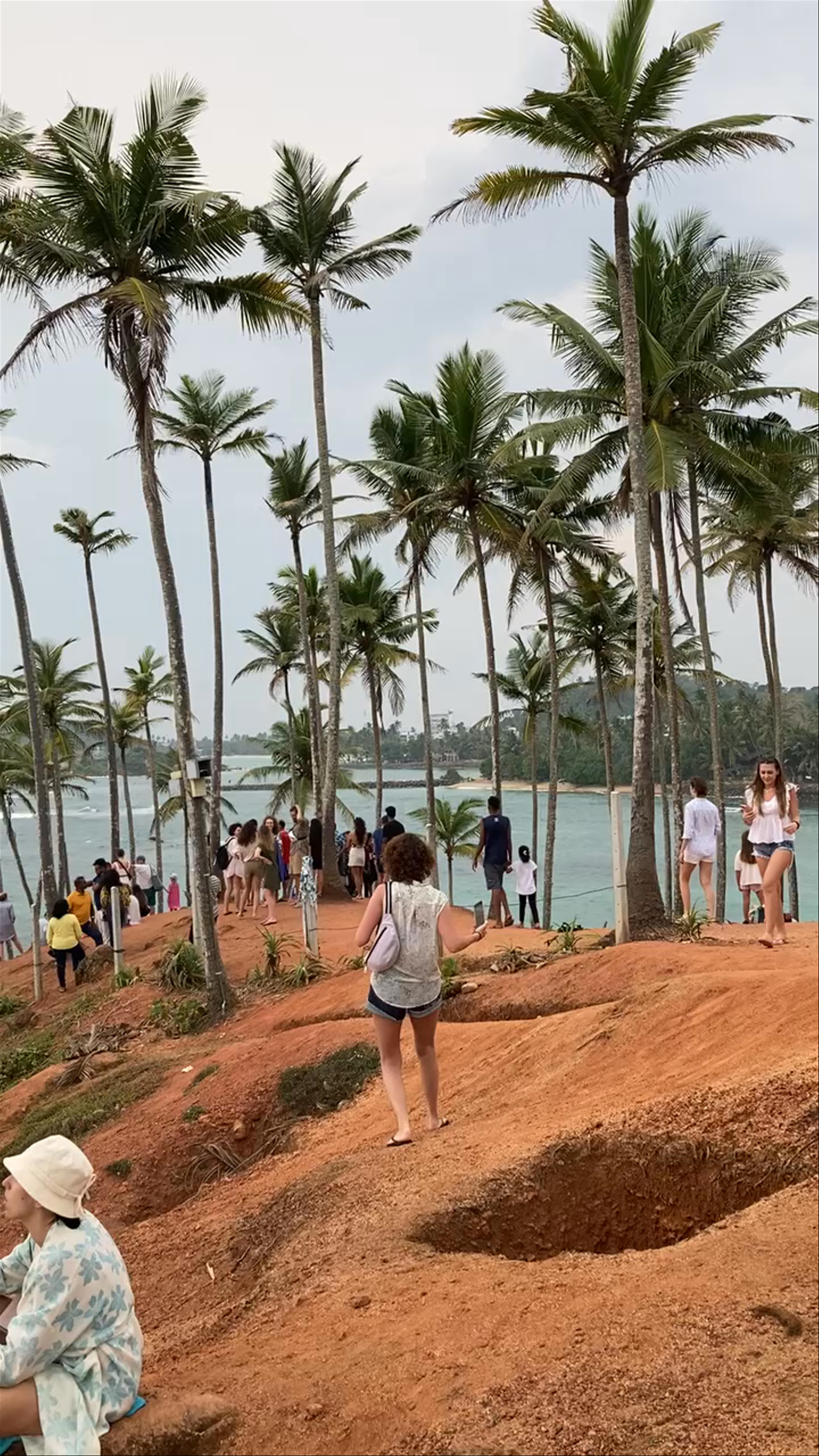 Coconut Tree Hill