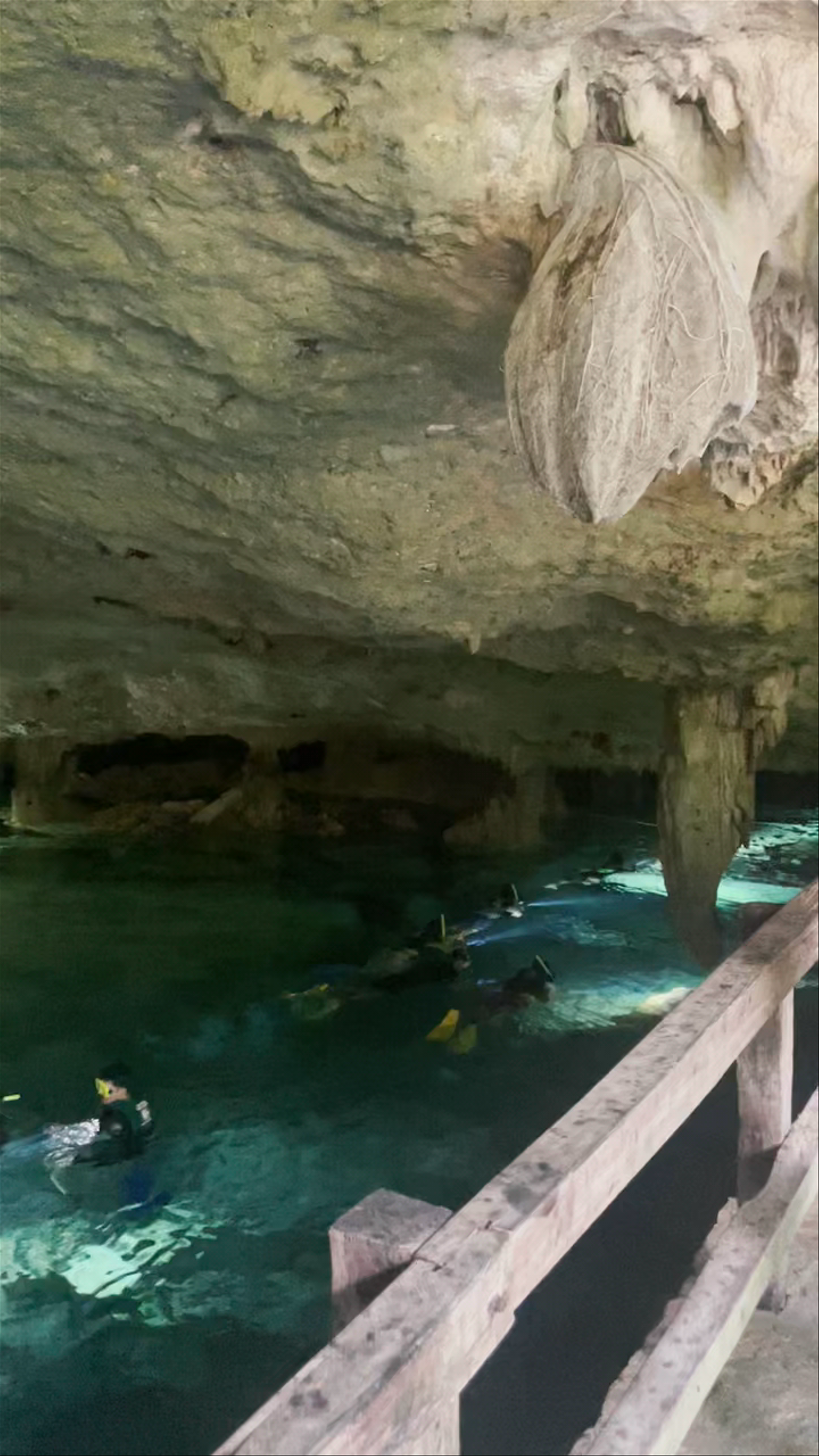 Exploring Cenote Dos Ojos: Mystical Underground Swimming in Quintana Roo, Mexico