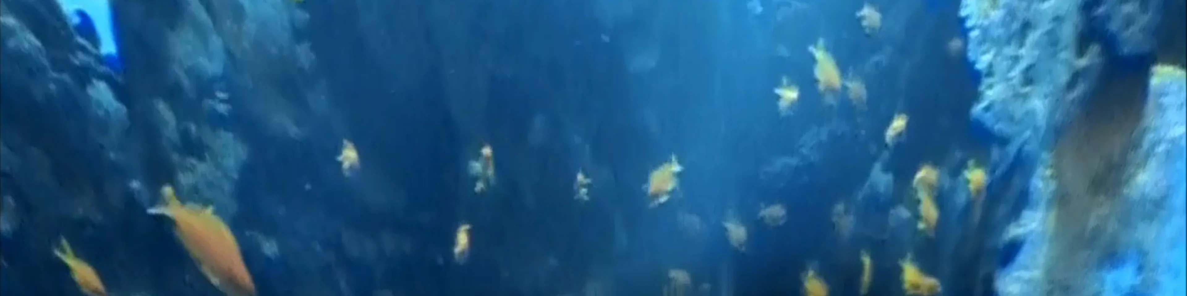 Blue Hole of Dahab