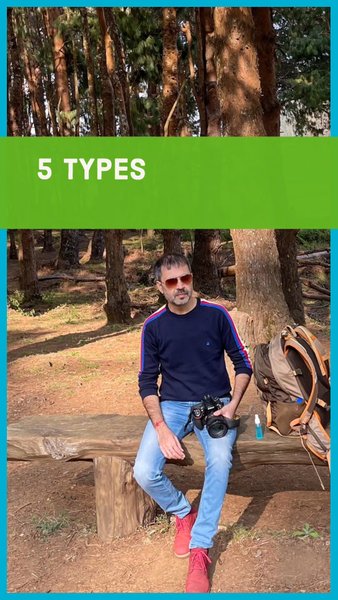 Photo of All forest lovers, y