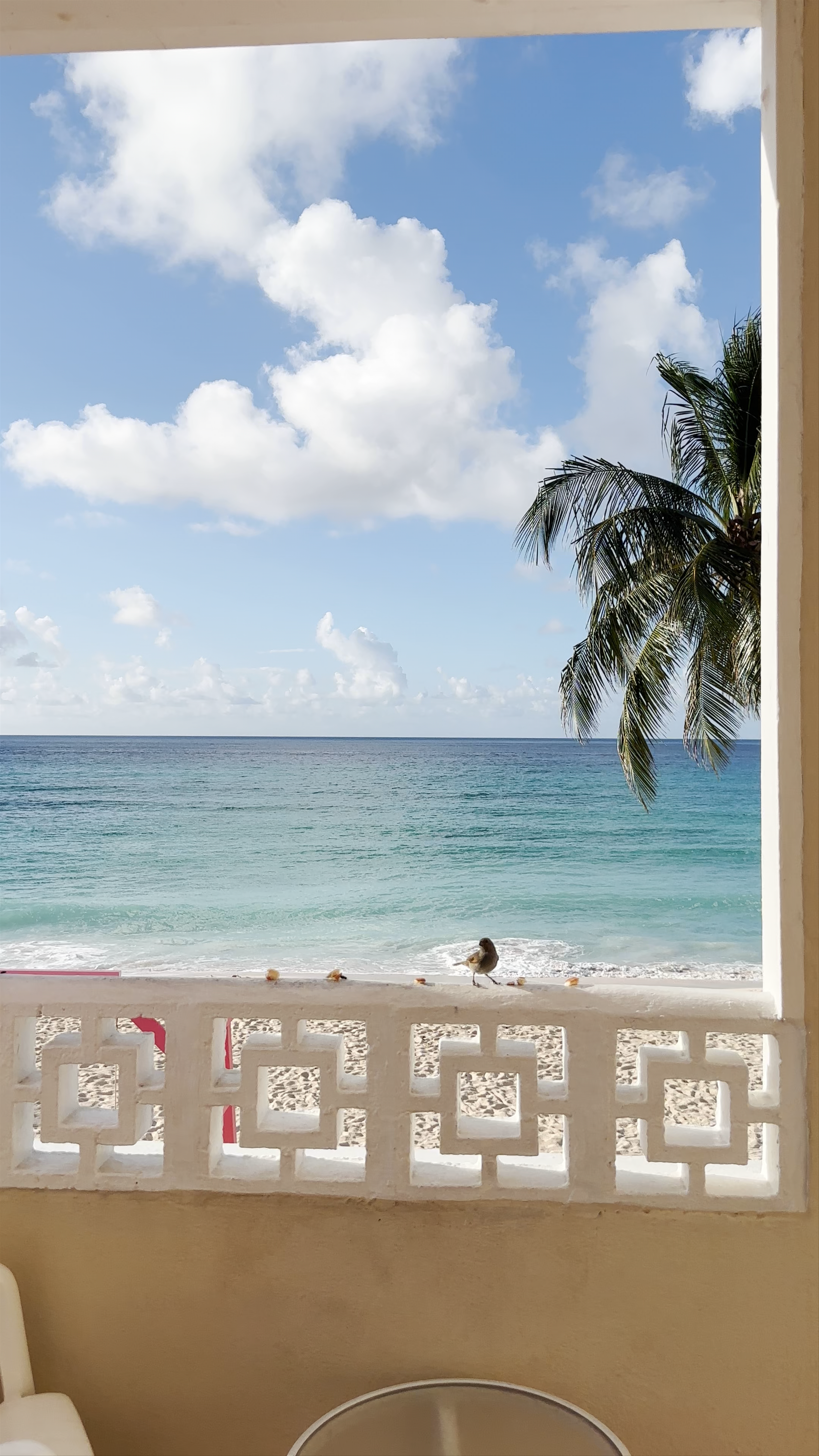 Southern Palms Beach Club & Resort Hotel