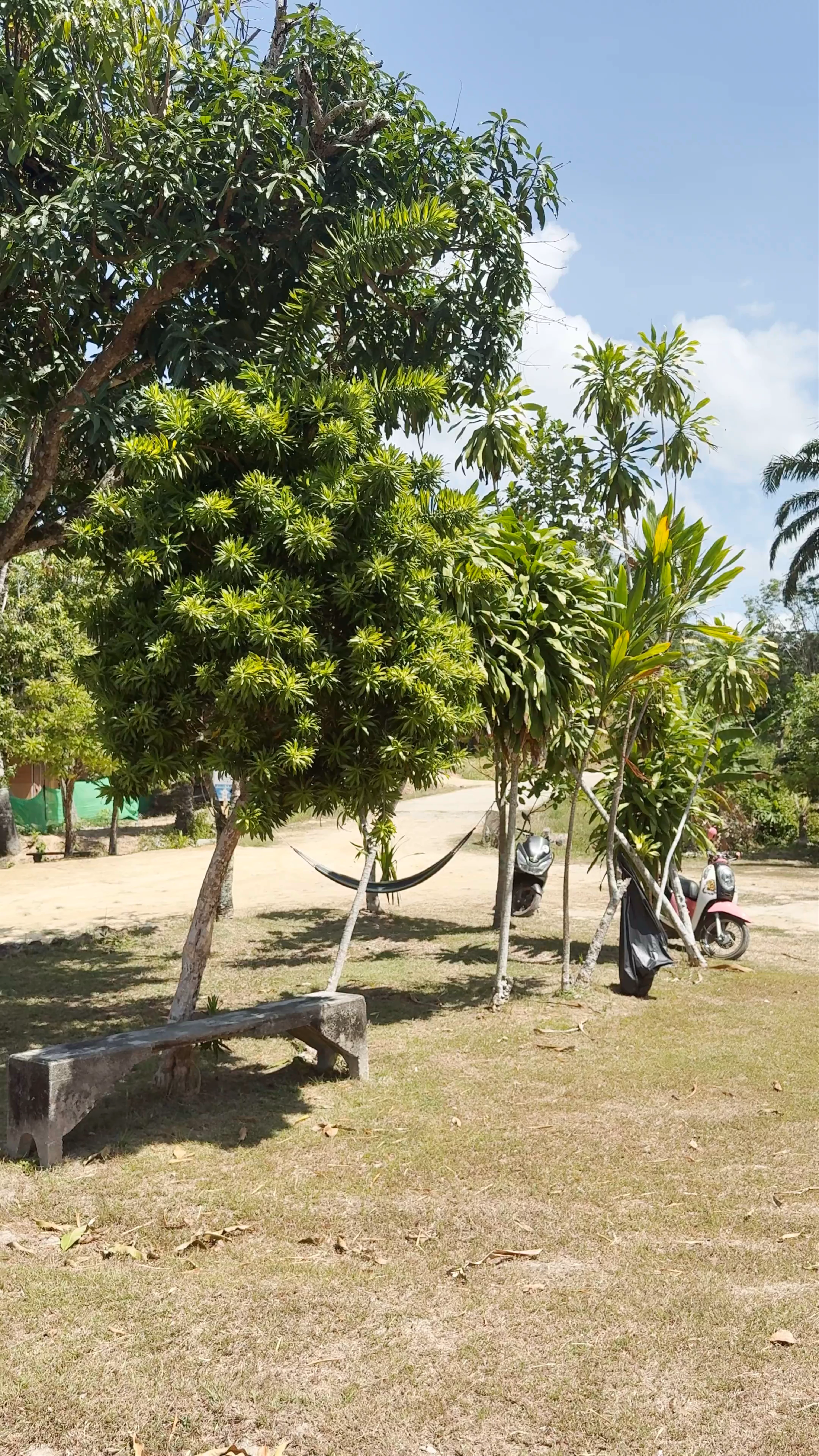Laem Tae Leng, Ko Lanta Noi