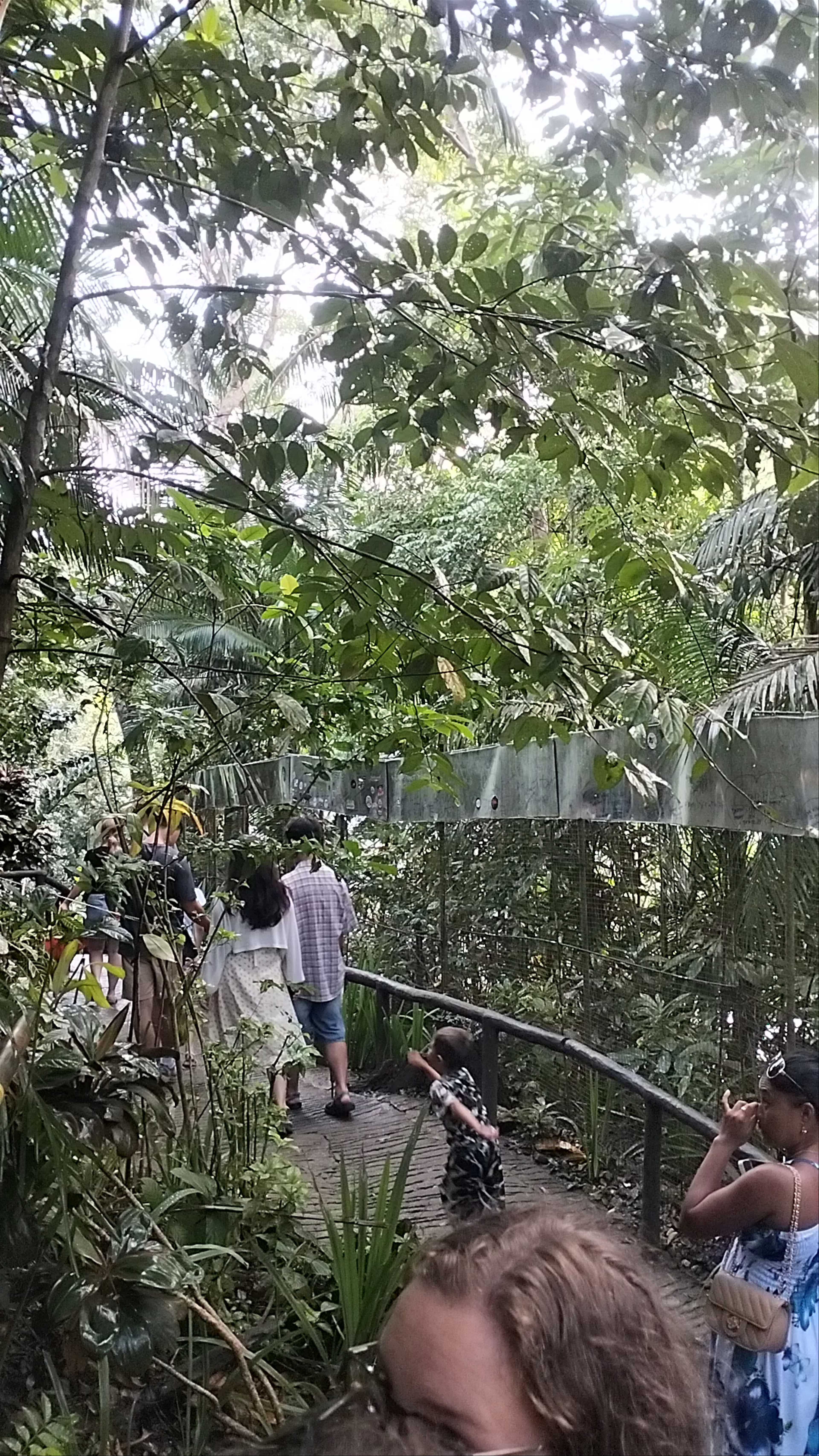 Bohol Tarsier Conservation Area