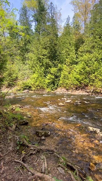 Belfountain Conservation Area - Parks Near Me - Caledon, Ontario