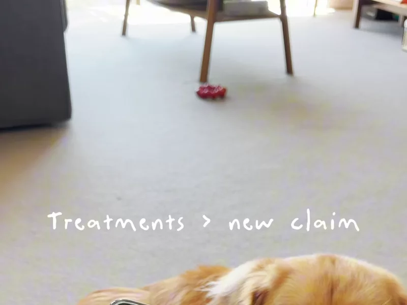 Submit a claim with Fetch Pet in 3 easy steps