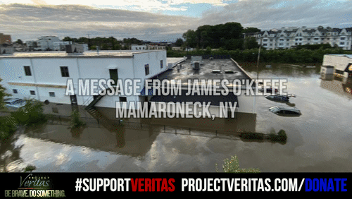 Video Thumbnail Loop