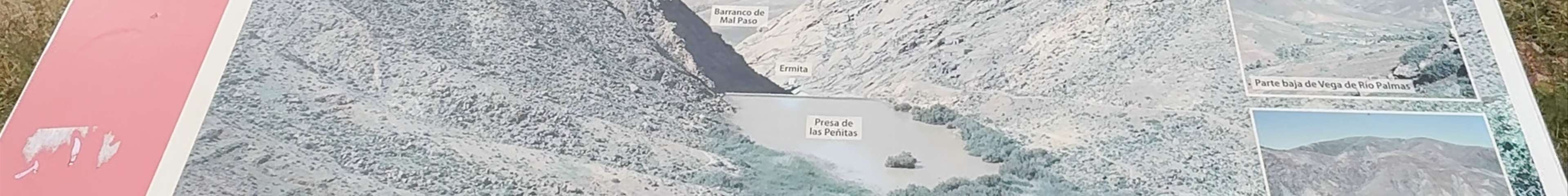 Tours & experiences in Pájara