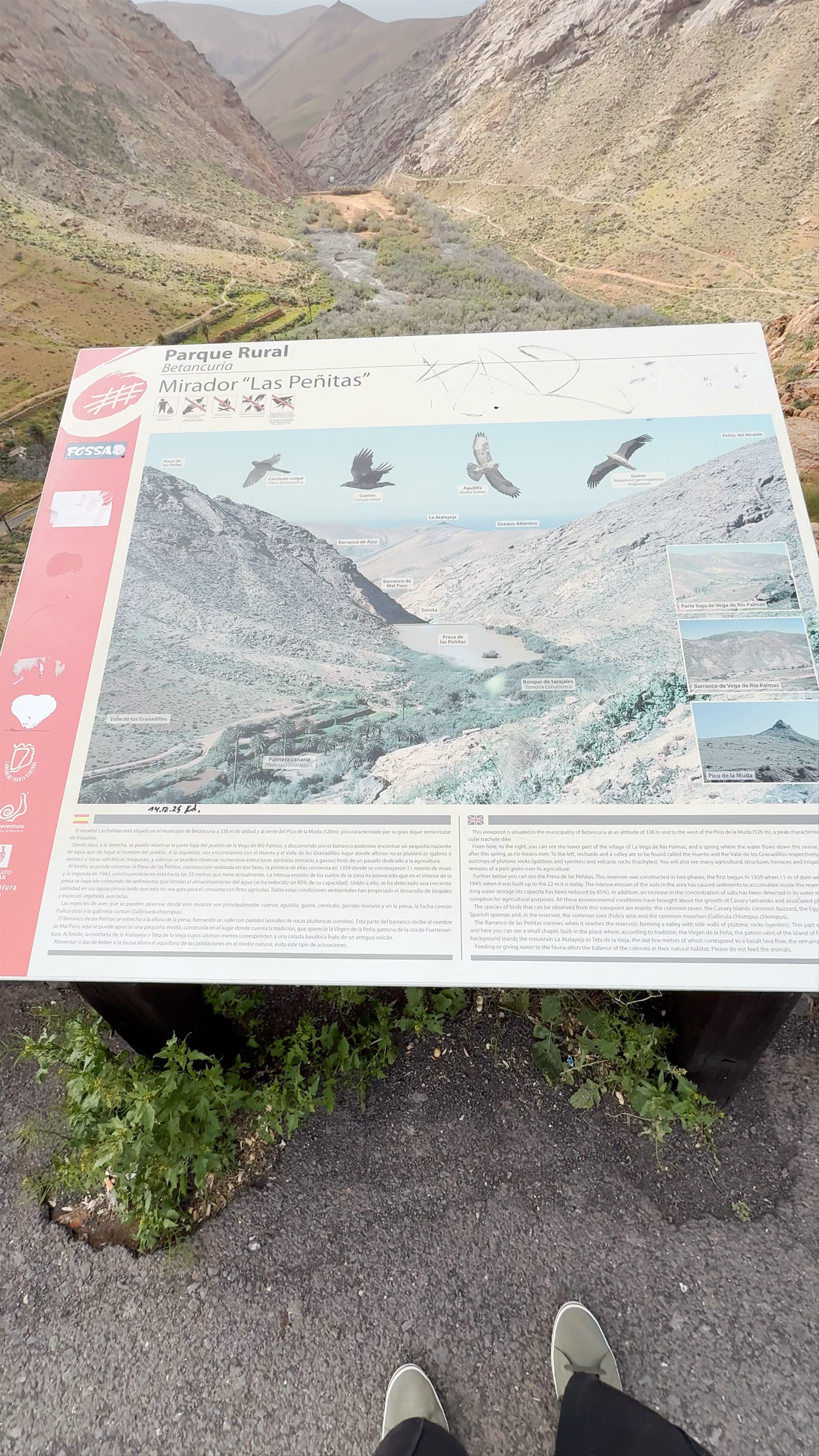 Mirador de Las Peñitas: Scenic Canyon Views in Betancuria, Canary Islands