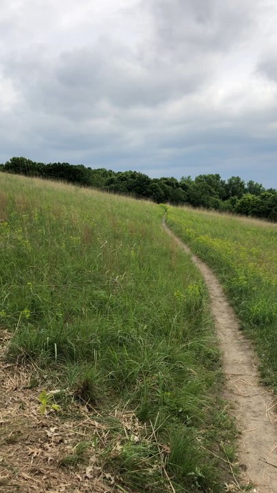 Fredrick-Miller Spring - Hiking trail continues past the trees - Landmarks & Historical Buildings Near Me - Eden Prairie, Minnesota