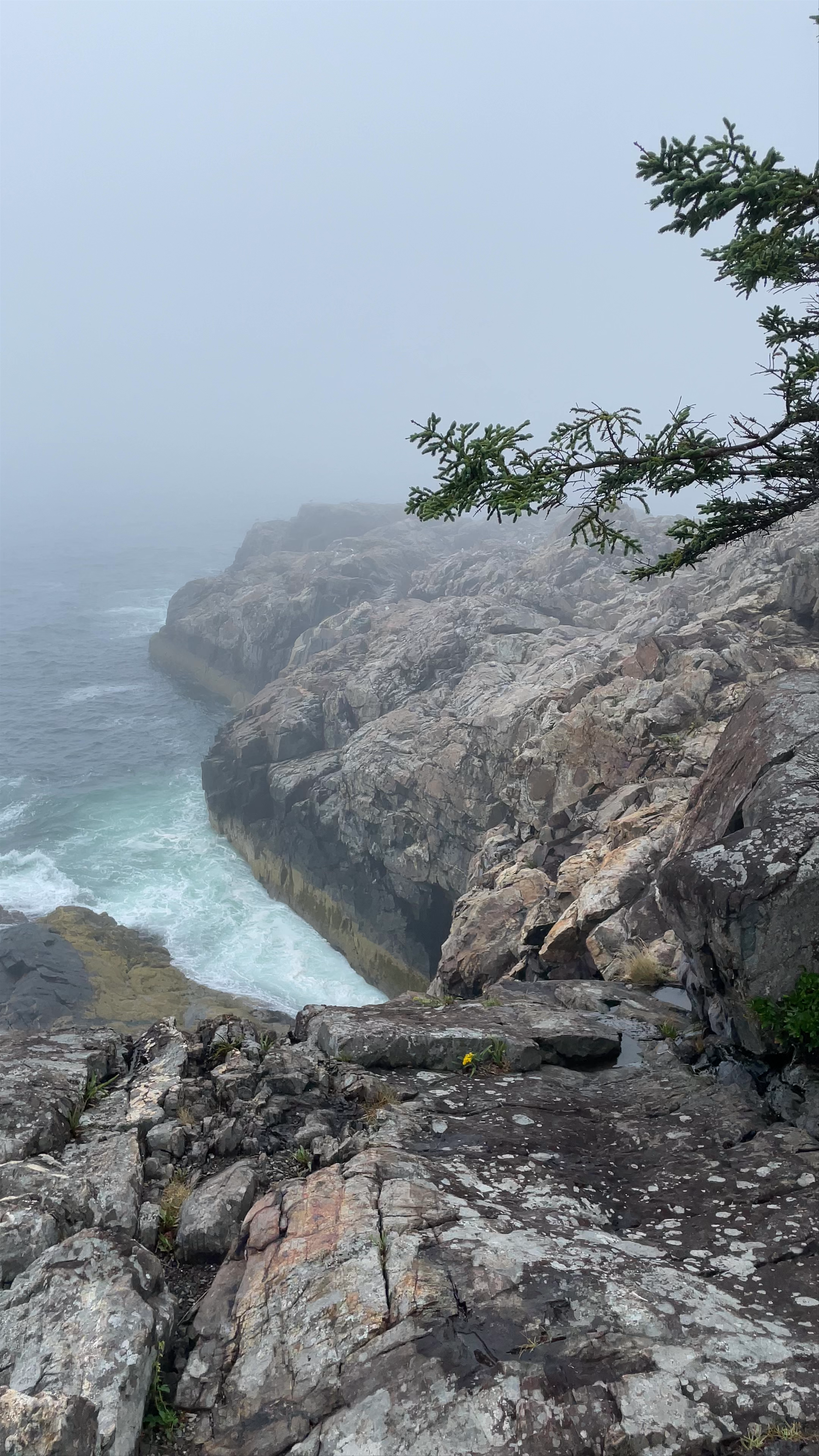 Acadia National Park