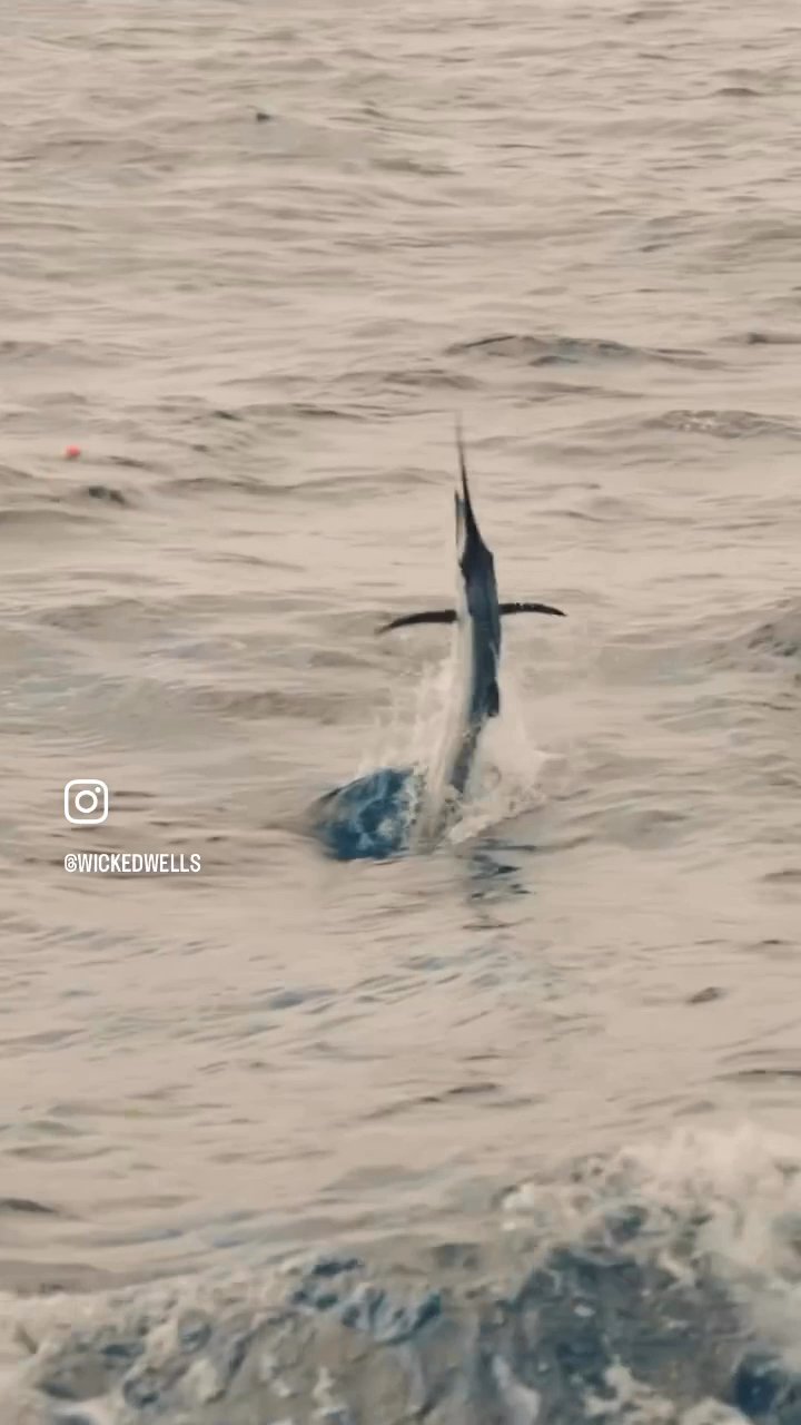 Cold weather can only mean one thing in South Flor...