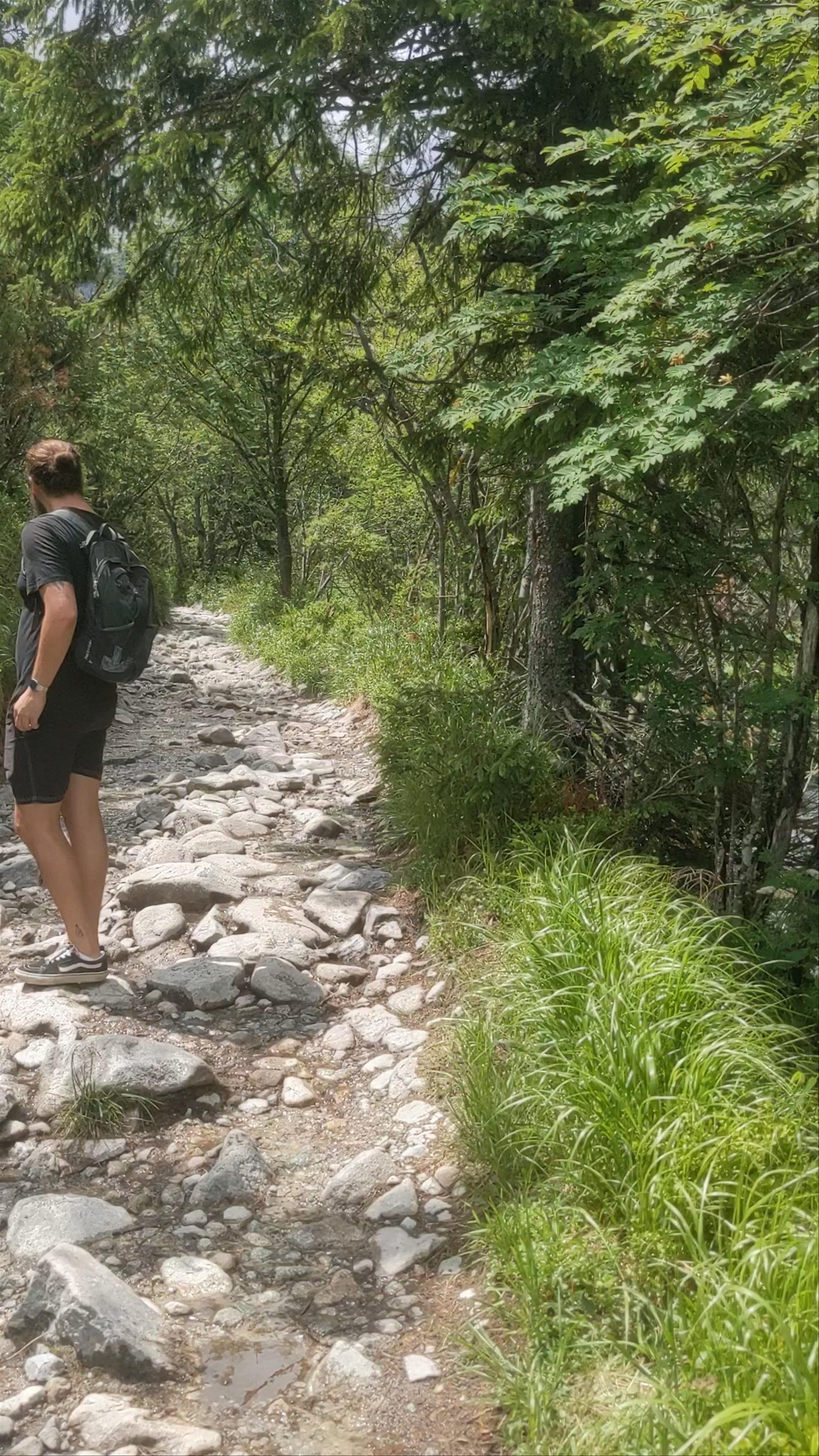 Zelené pleso Kačacie