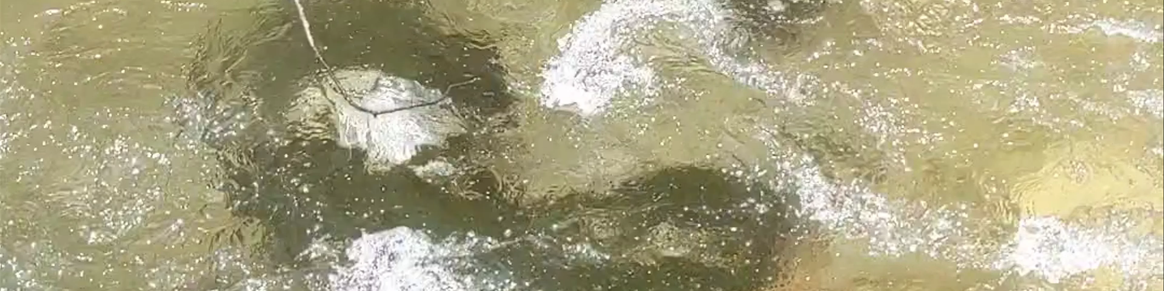 Zelené pleso Kačacie