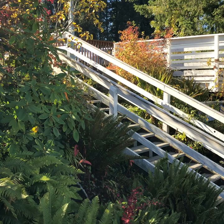 Boston Harbor Marina - Seafood Markets Near Me - Olympia, Washington