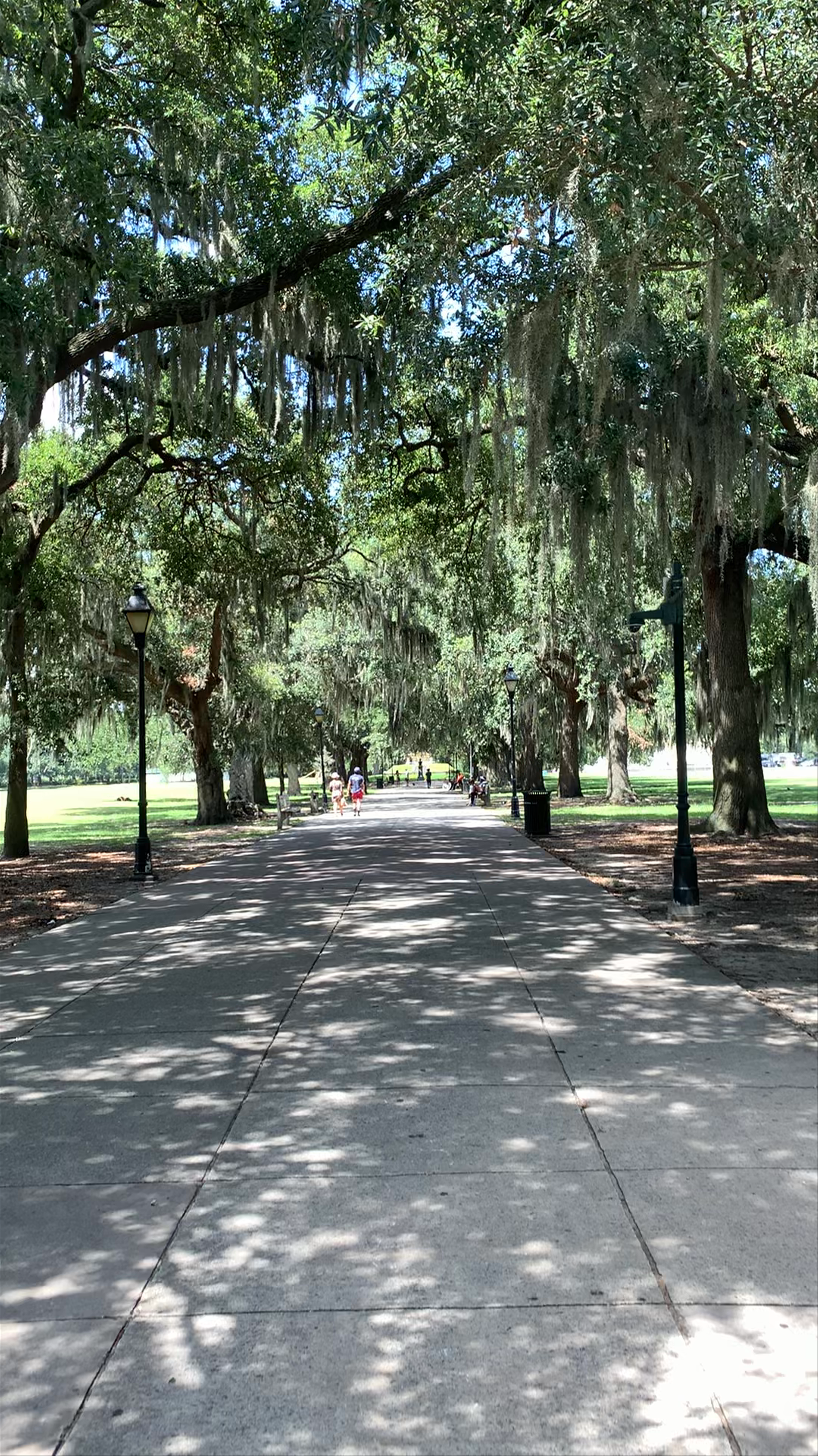Forsyth Park