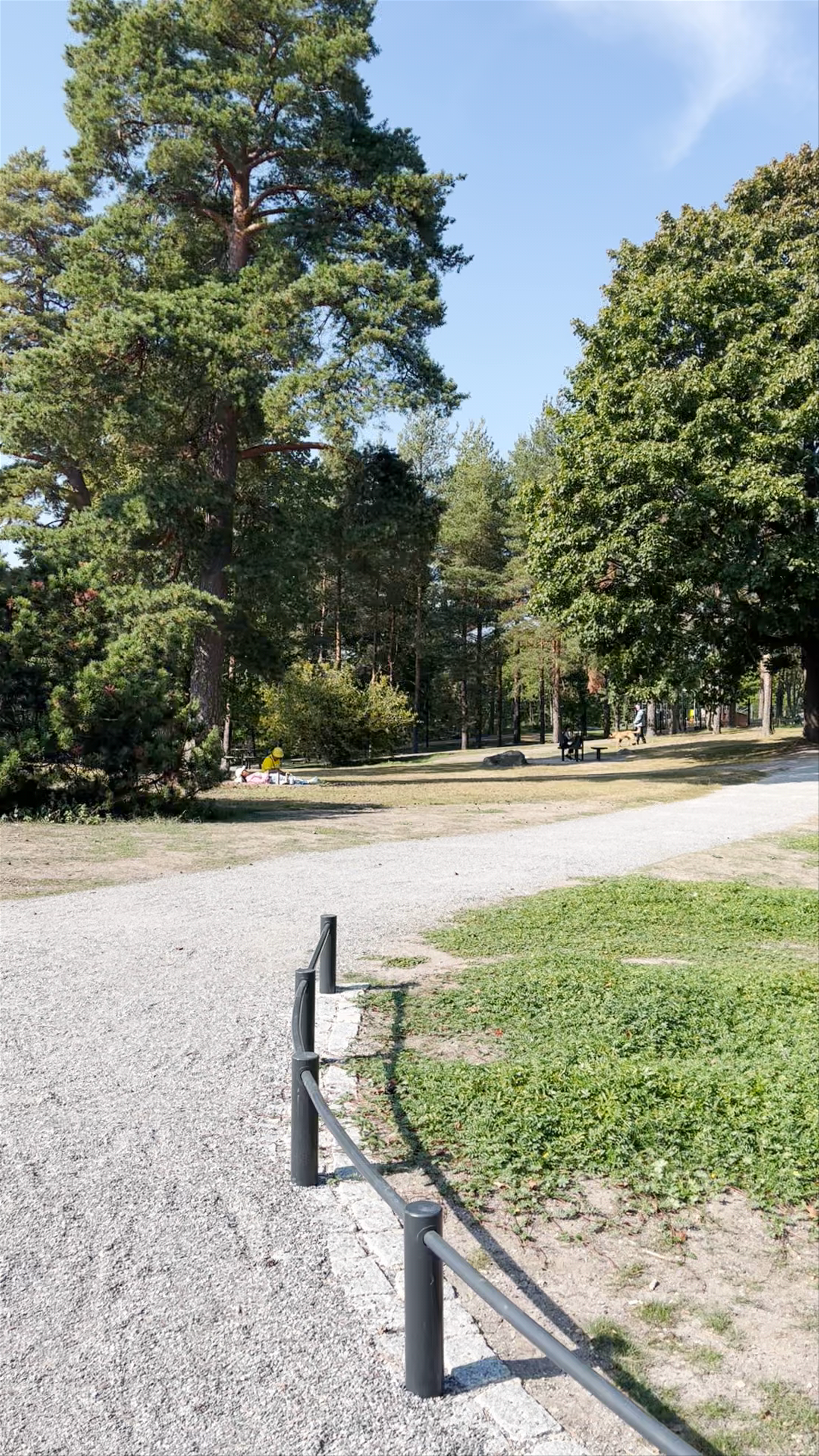 Strolling Through Sibelius Park in Helsinki: A Serene Urban Escape