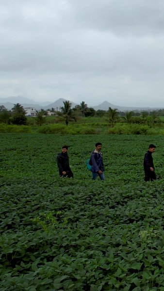 Photo of Farms with Mountain 