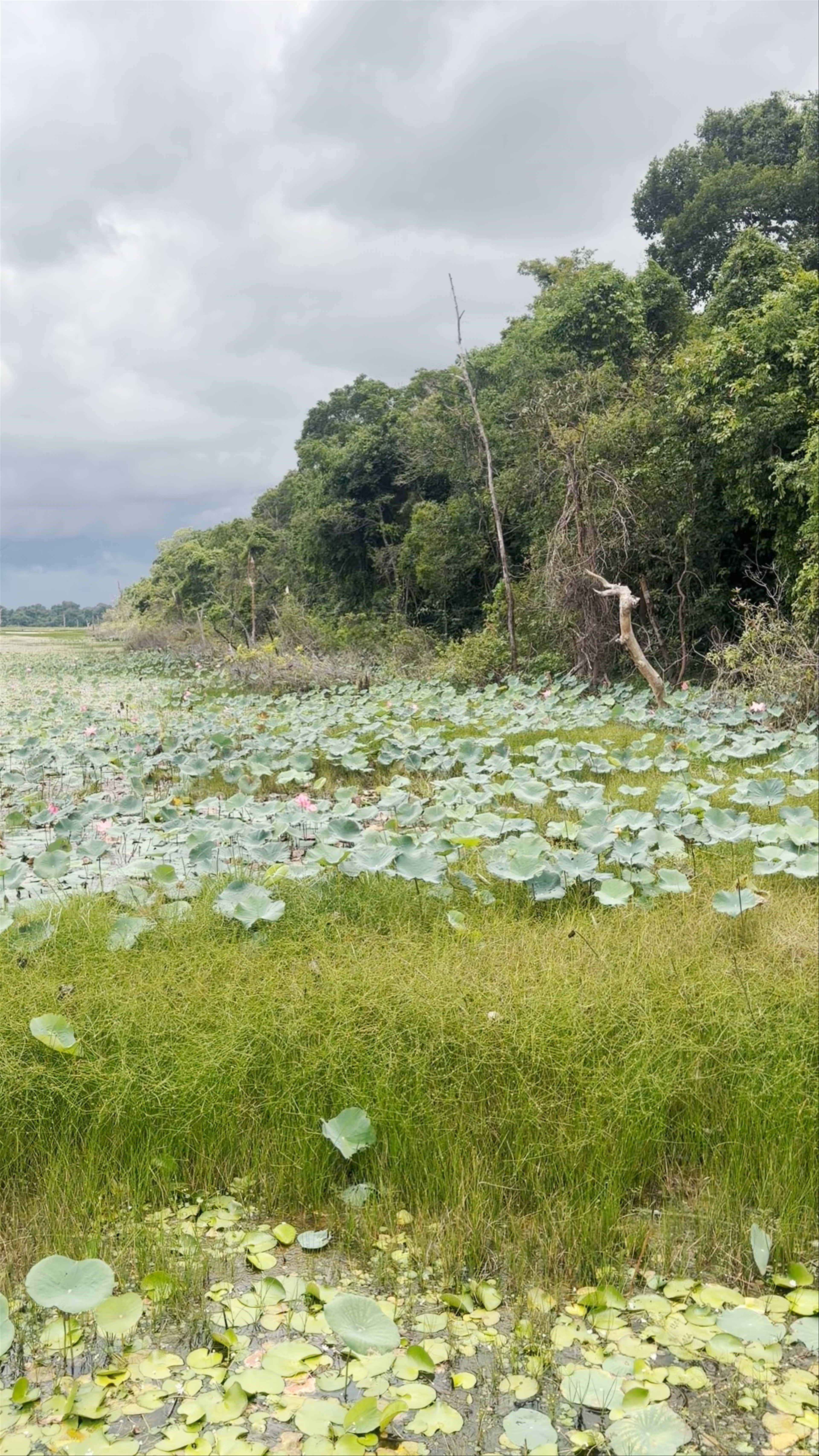 Neak Pean