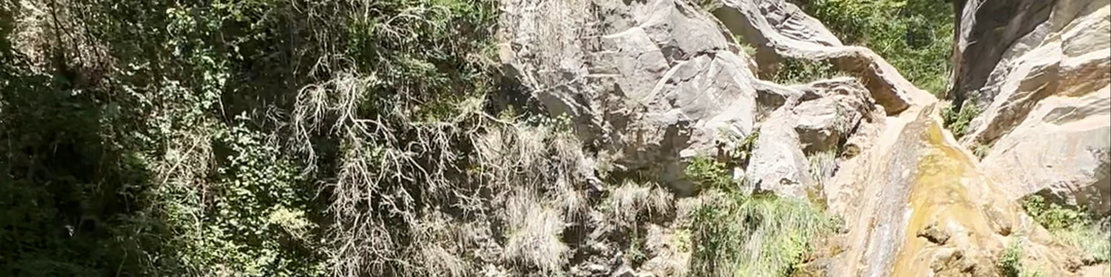Riera de Vilardell