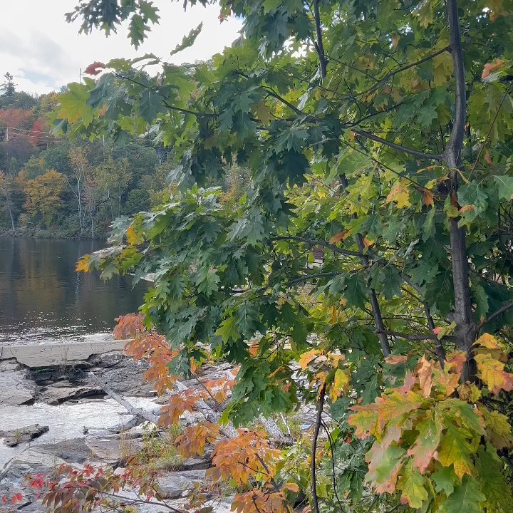 Circle K - Best gas station in ME with scenic views and picnic across the way - Convenience Stores Near Me - Rumford, Maine