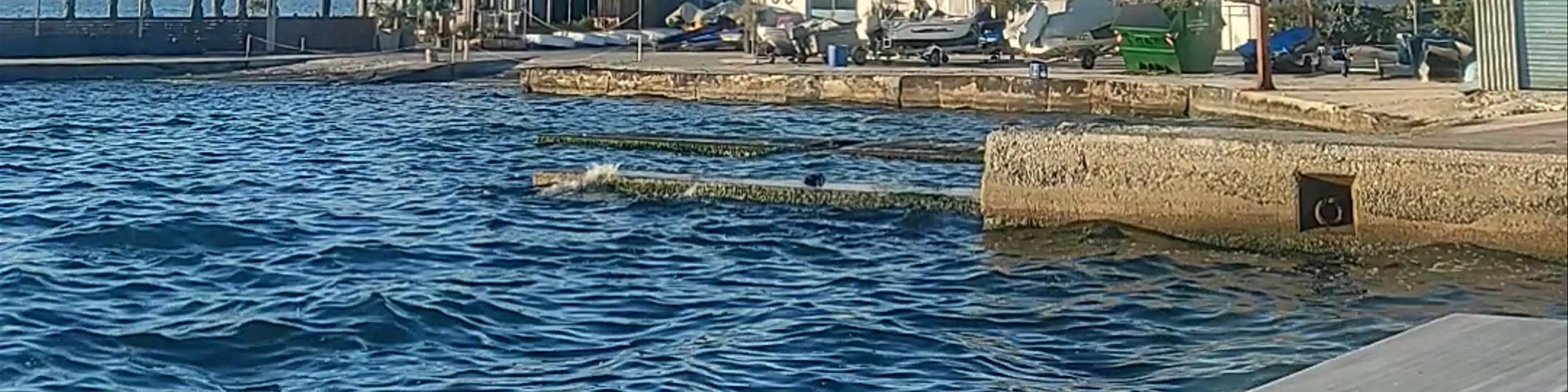 Sailing Club of Thessaloniki