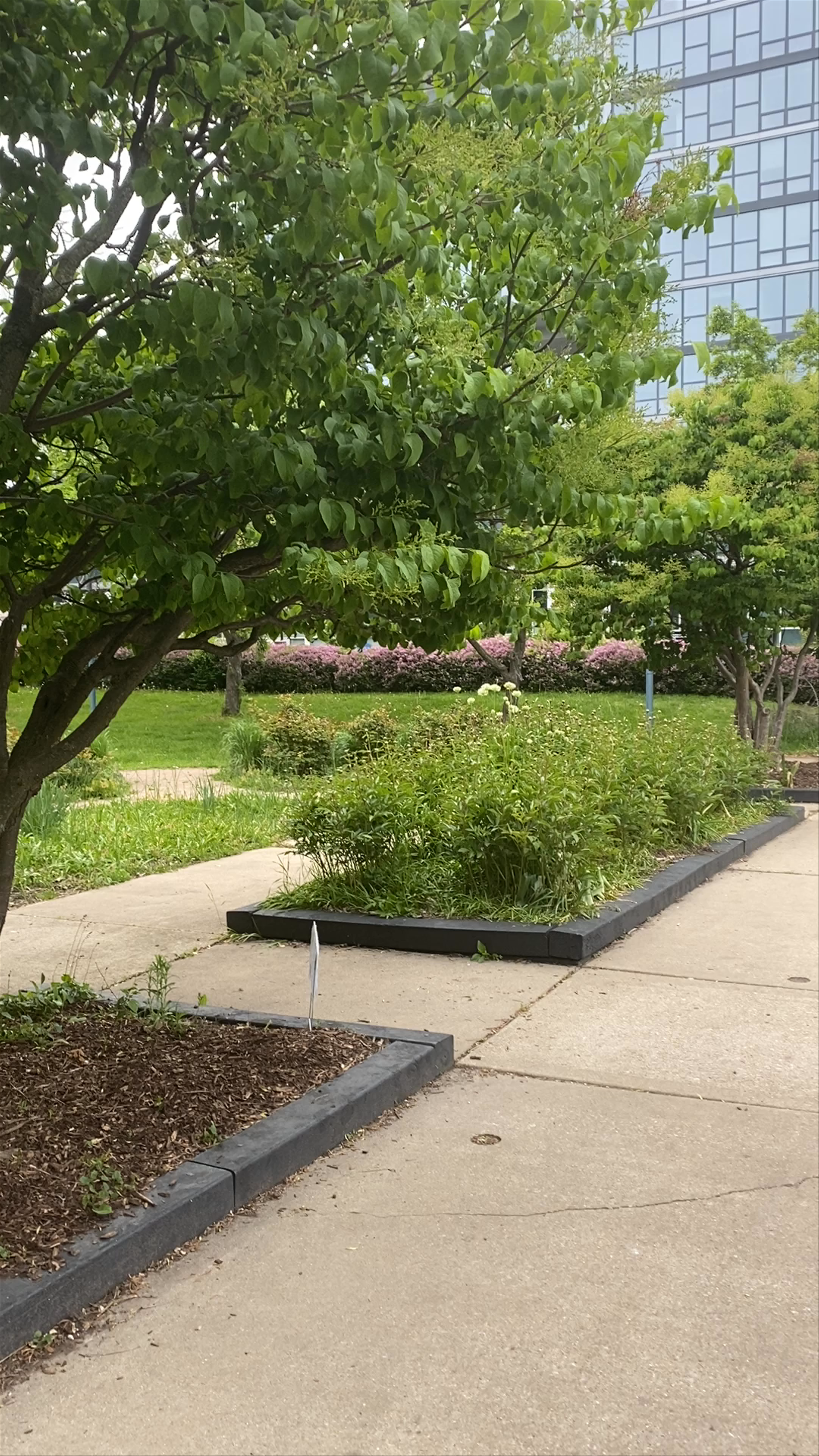 Nichols (John Fountain) Park