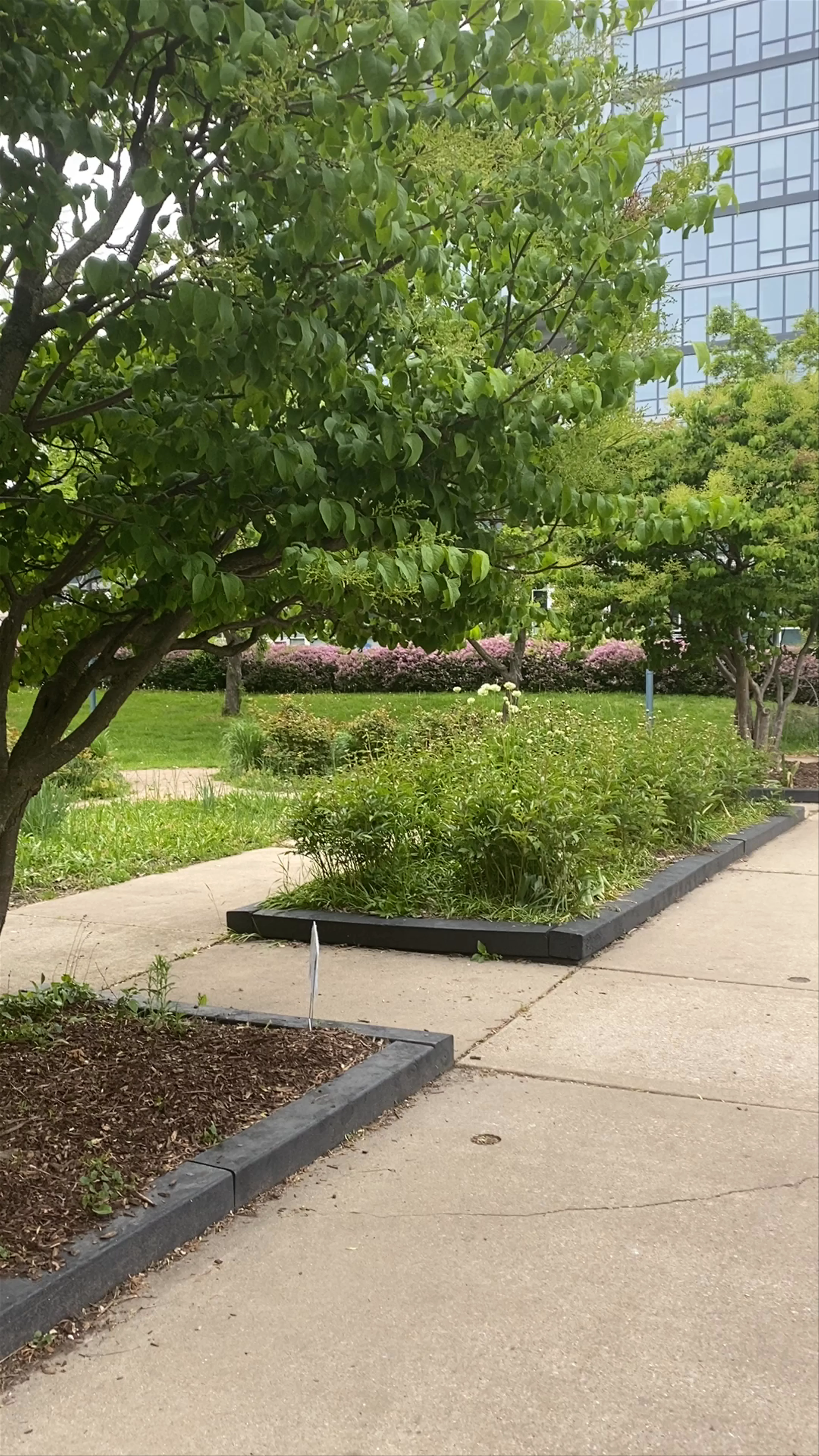 Nichols (John Fountain) Park