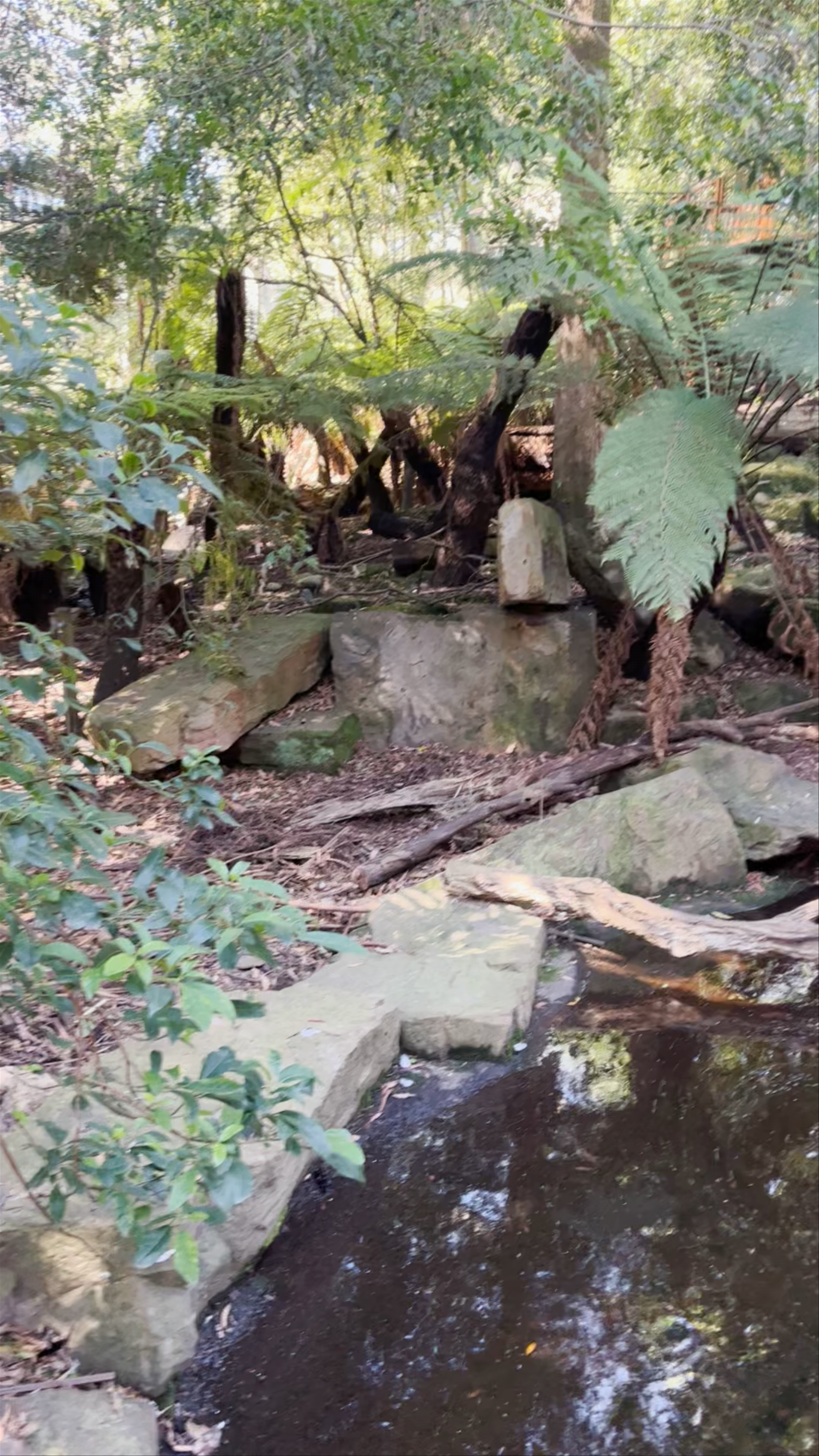 Healesville Sanctuary