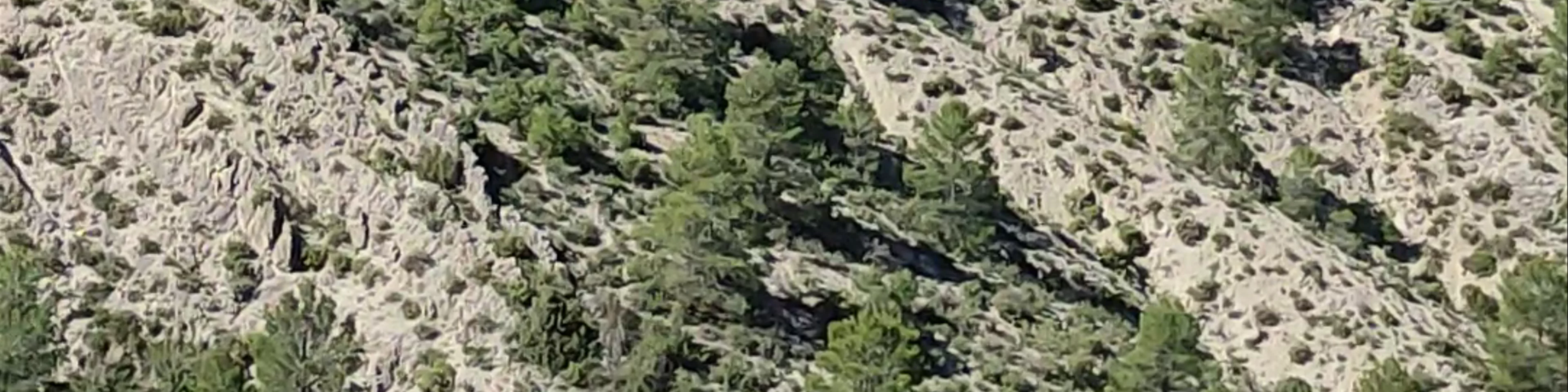 Embalse de El Portillo