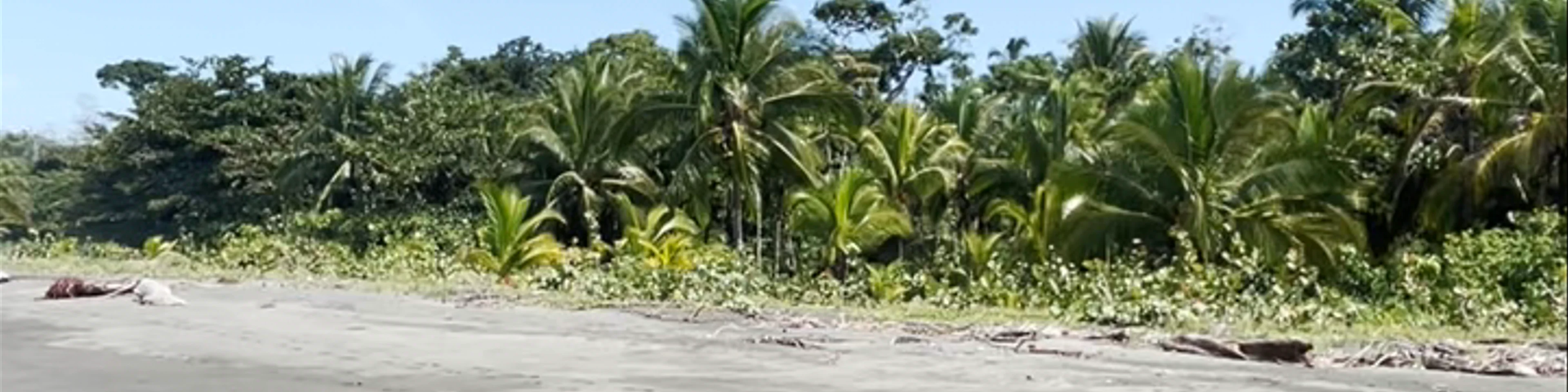 Cahuita Inn