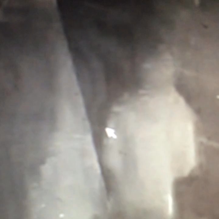 Pizza Time - Why are these guys stealing from Pizza Time, if you recognize them call the Downey police - Pizza Near Me - Downey, California