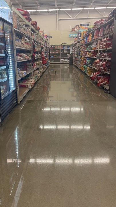H-E-B plus! - Always birds. - Grocery Near Me - Pearland, Texas