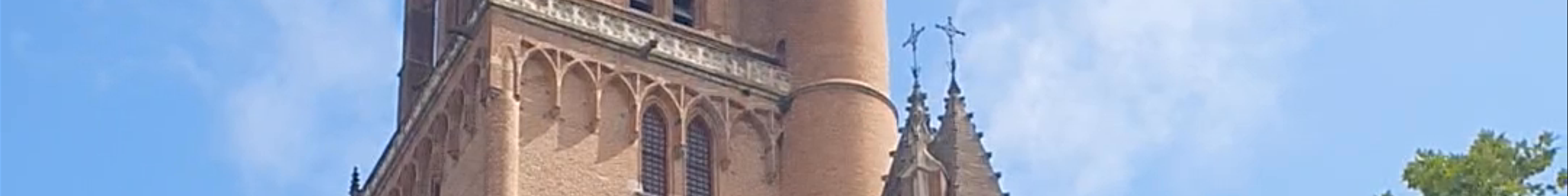 Tours & experiences in Albi