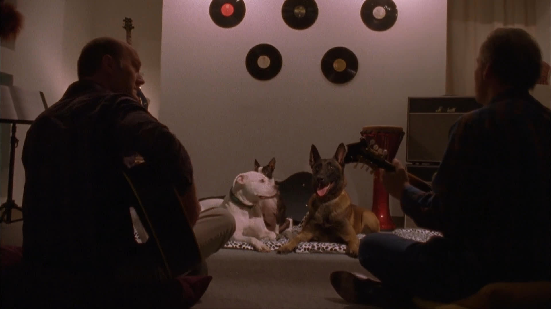 Two dogs sit in a living room intently watching a video of other dogs on television while their owners observe nearby. The scene shifts to an outdoor setting as one of the owners departs the premises.