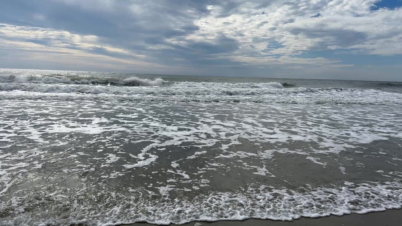 Myrtle Beach State Park - Parks Near Me - Myrtle Beach, South Carolina