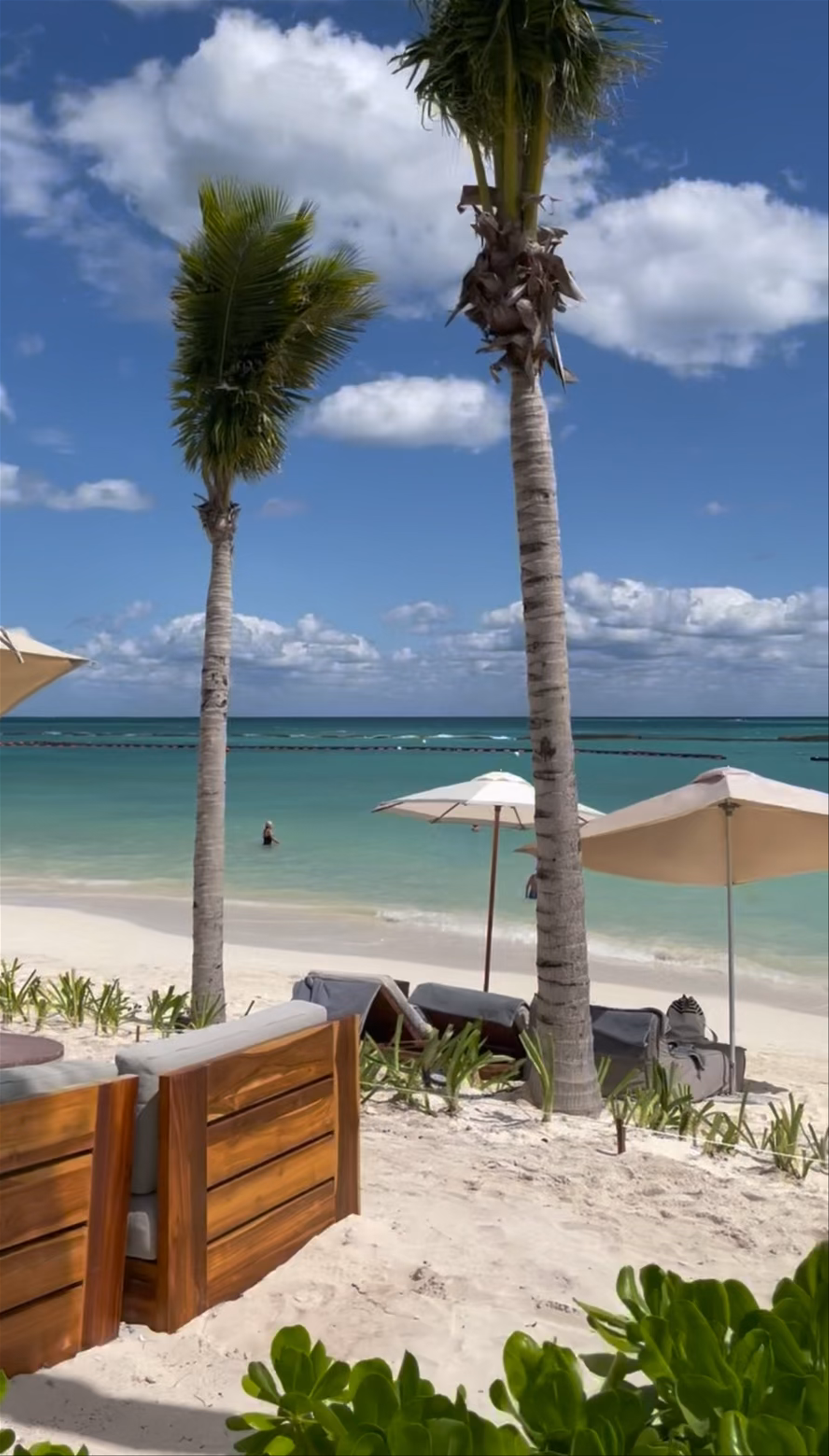 Playa del Carmen Alterna