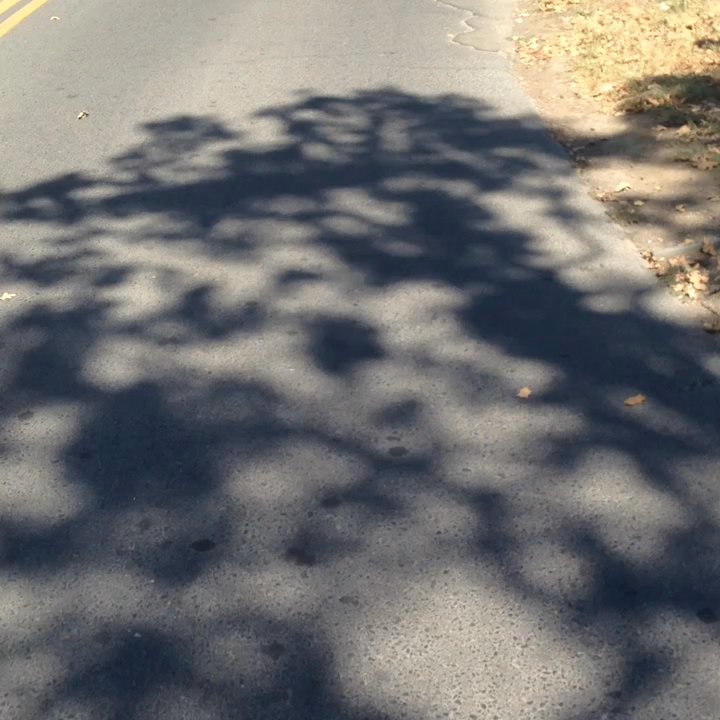 Sonoma Adventures - Hunt was awesome. He took us through  the most scenic vineyards. very knowledgeable and very professional. - Bike Rentals Near Me - Sonoma, California