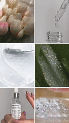 H.A. Perfect  - aperçu