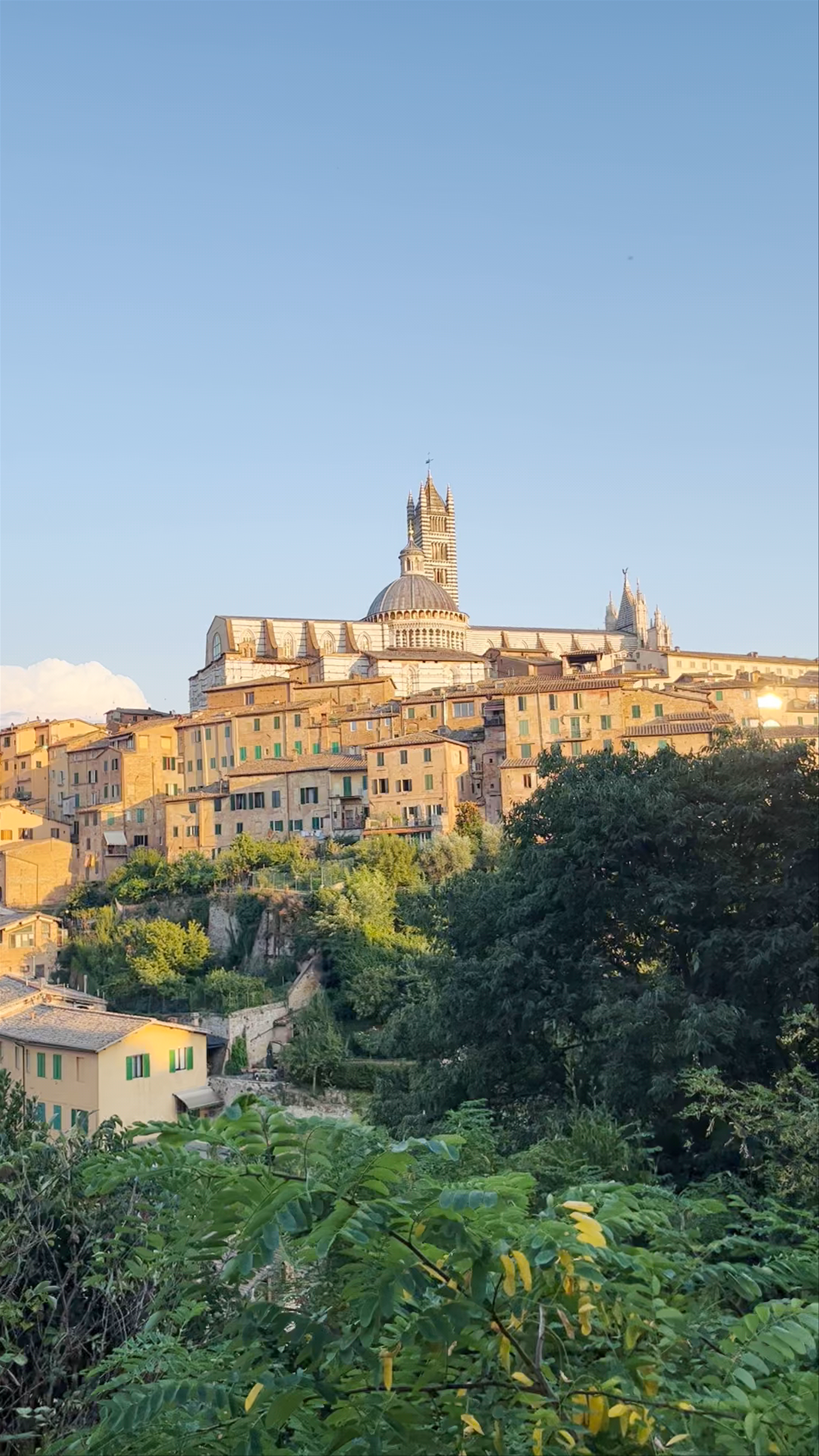 Società di Camporegio - Contrada del Drago
