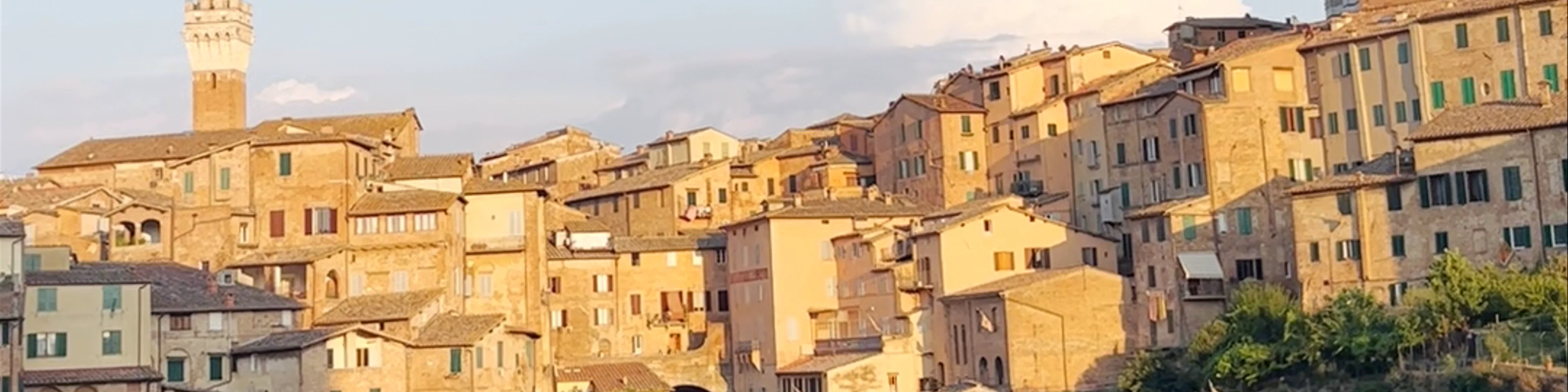 Società di Camporegio - Contrada del Drago