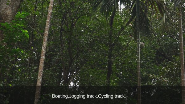 Photo of Pookode lake Wayanad