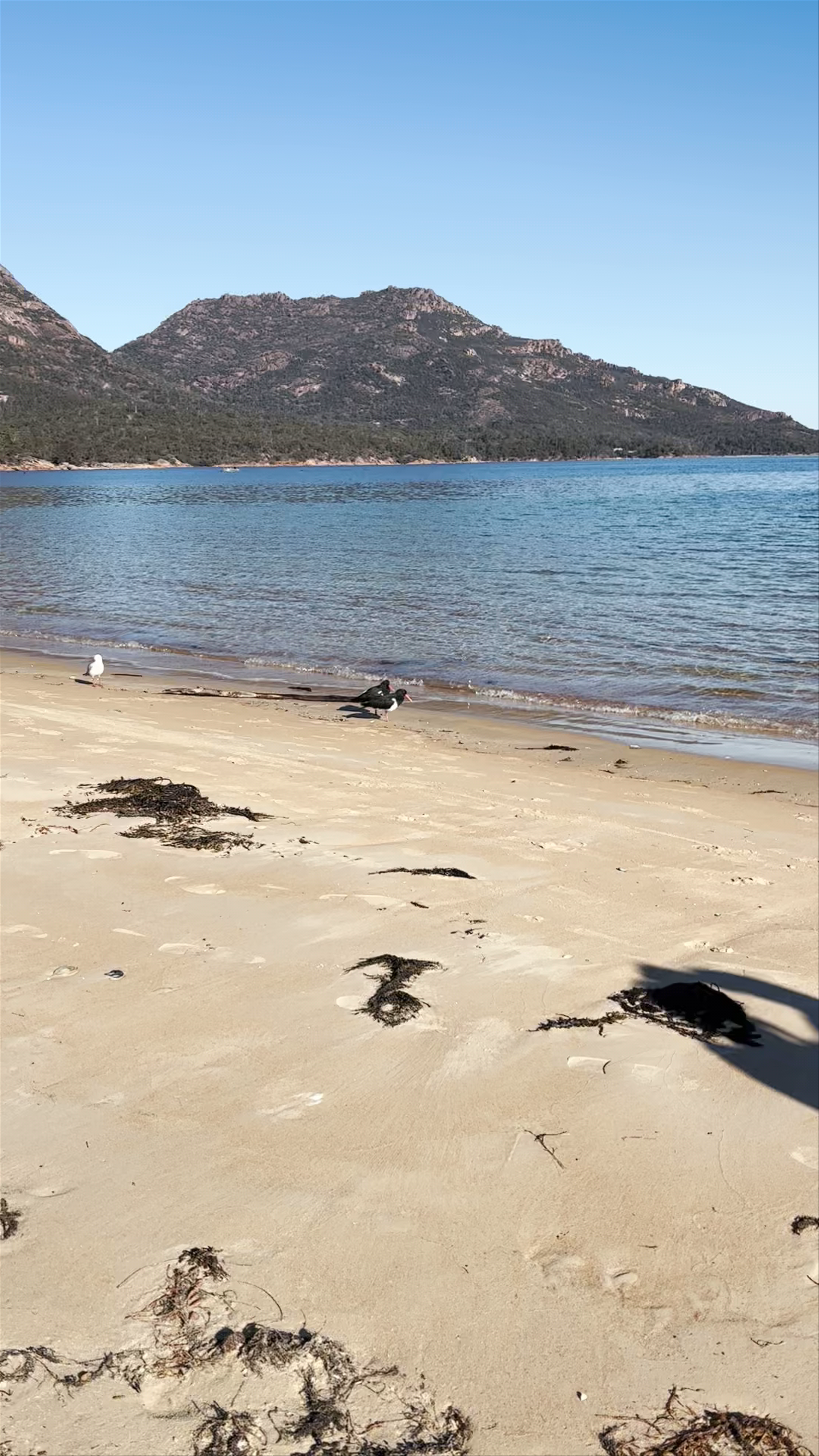 Richardsons Beach: Pristine Coastal Escape in Tasmania