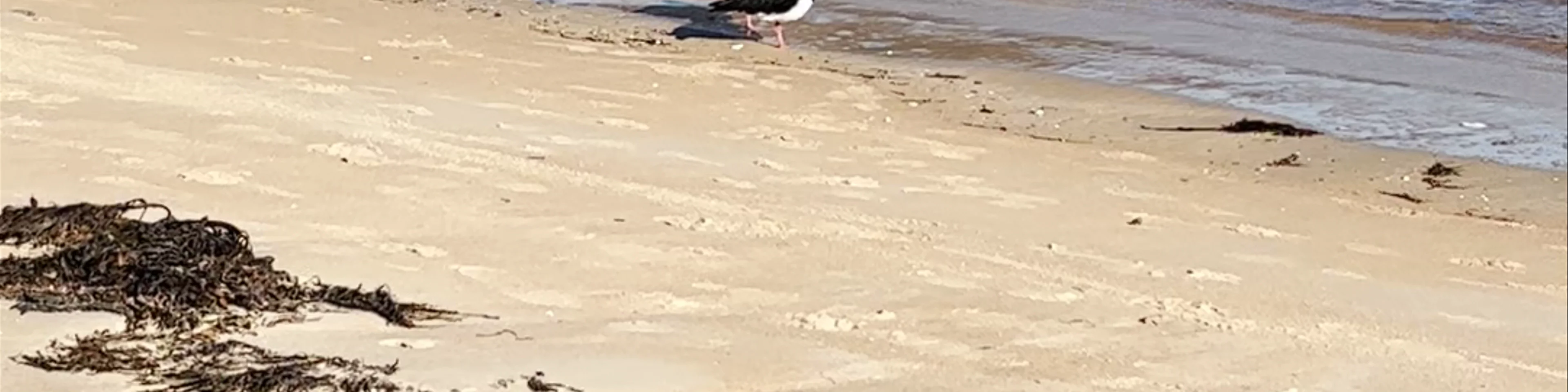 Richardsons Beach